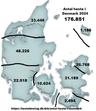 Antal heste i Danmark ultimo 2024