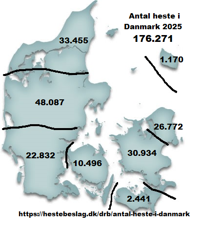 Antal heste i Danmark ultimo 2025